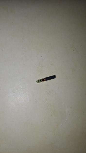 Microchip found in meat